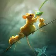 uncommon different attractive whatsapp dp